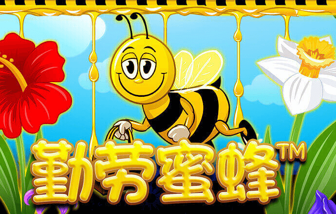 下载355彩票平台截图4